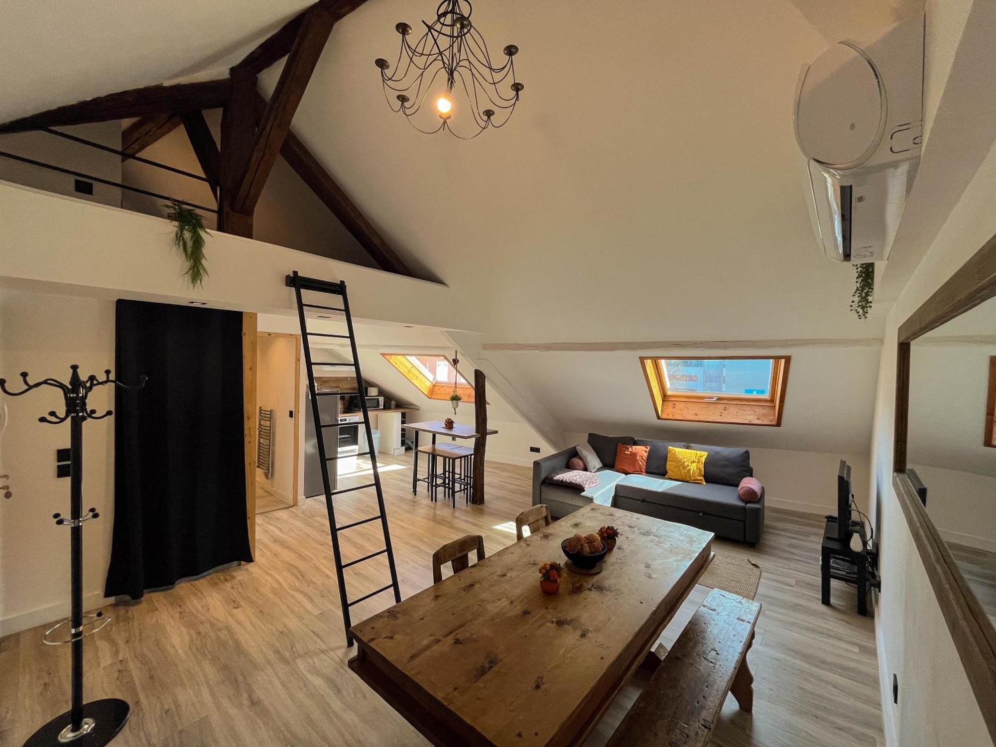 Cocon Sous Les Toits Apartment Albertville Exterior foto