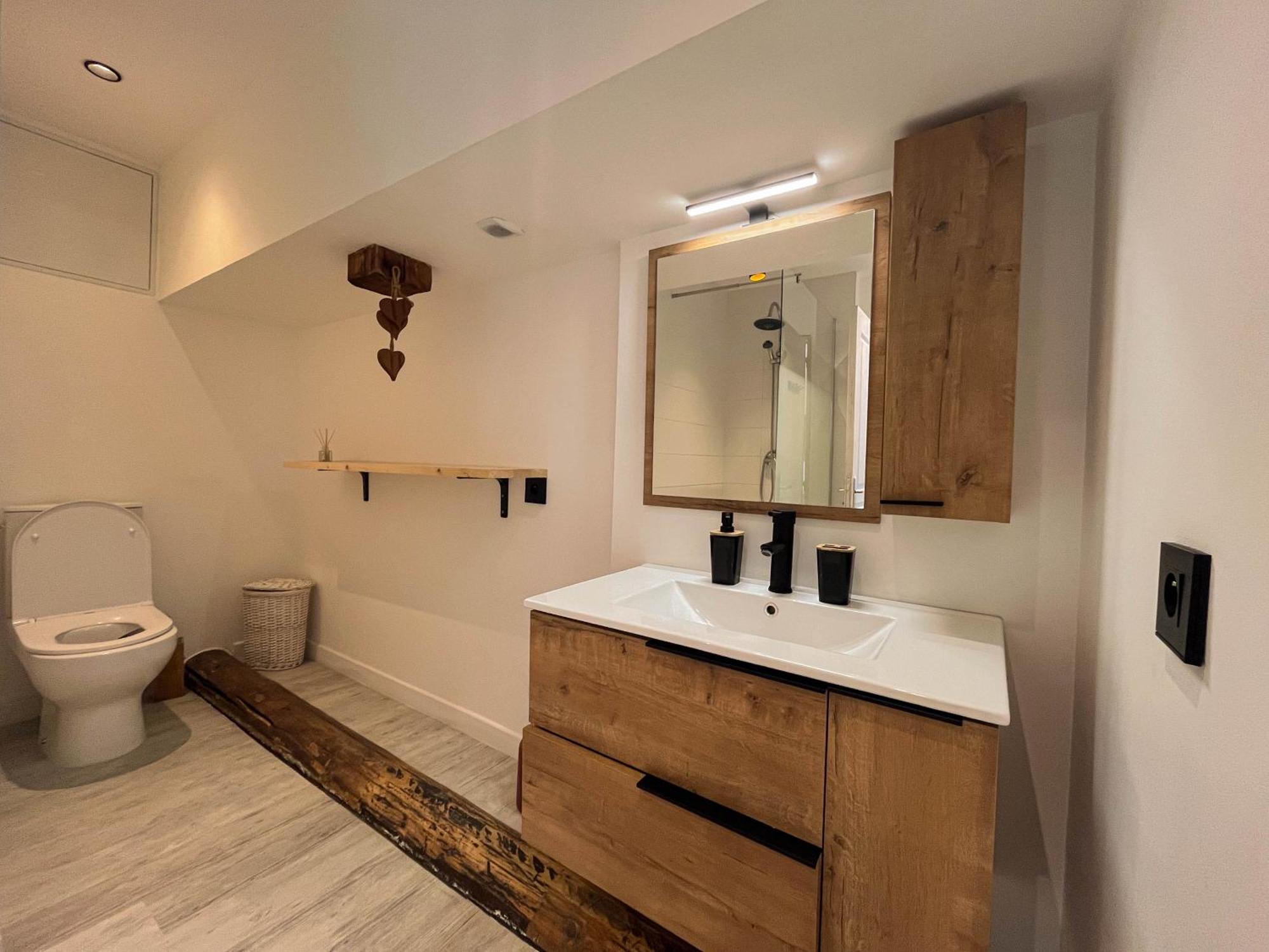 Cocon Sous Les Toits Apartment Albertville Exterior foto