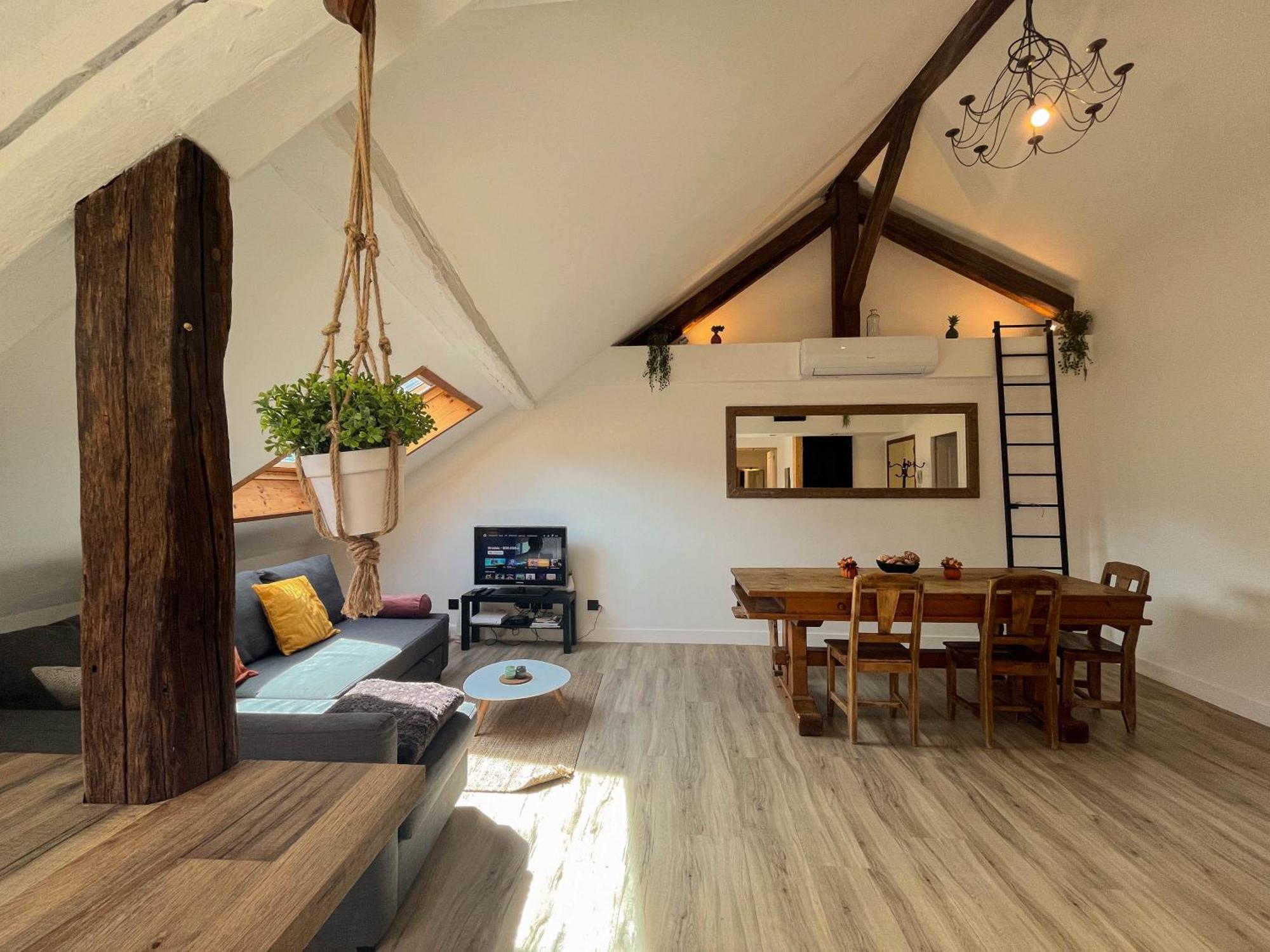 Cocon Sous Les Toits Apartment Albertville Exterior foto