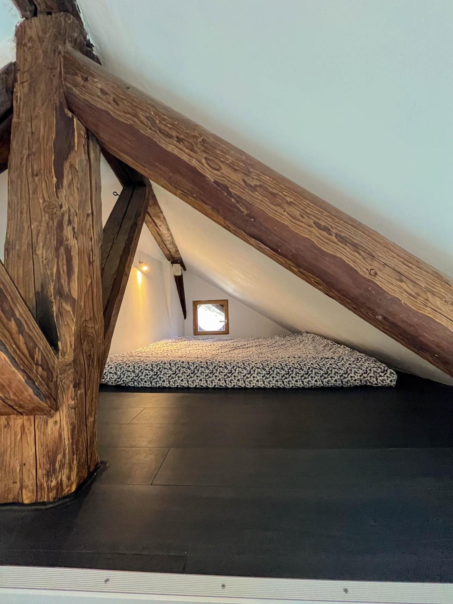 Cocon Sous Les Toits Apartment Albertville Exterior foto